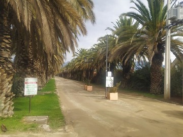 Venta / Parcela / Isla de Maipo