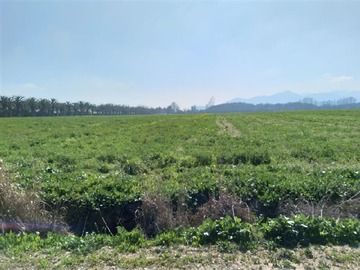 Venta / Parcela / Isla de Maipo