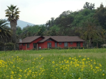 Imagen 5
