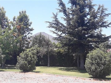 Imagen 5