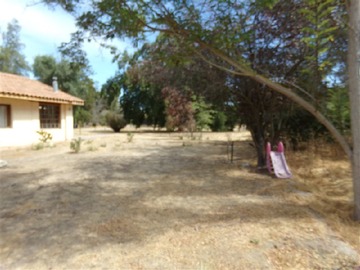 Imagen 6