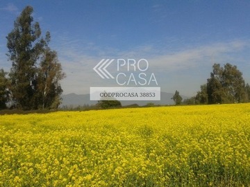 Venta / Parcela / Isla de Maipo