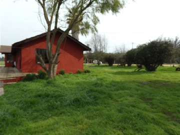 Imagen 12