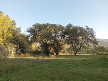 Venta / Parcela / Isla de Maipo