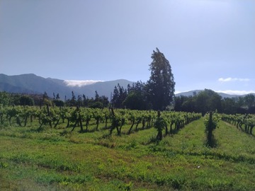 Venta / Parcela / Isla de Maipo