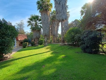 Imagen 9