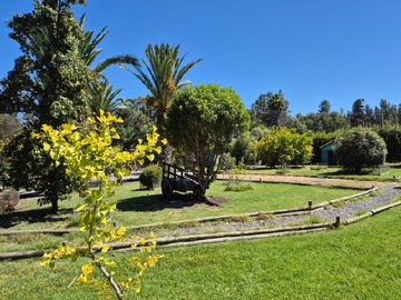 Venta / Parcela / Isla de Maipo