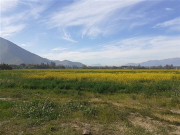 Venta / Parcela / Isla de Maipo