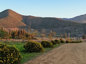Imagen 26
