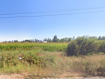 Imagen 5