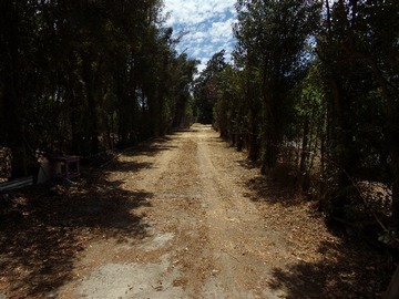 Imagen 27