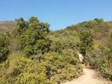 Venta / Parcela / Isla de Maipo
