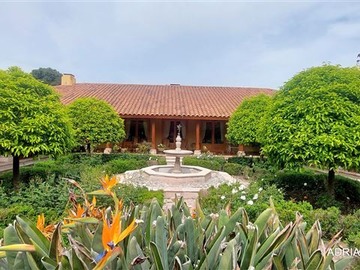 Venta / Parcela / Isla de Maipo