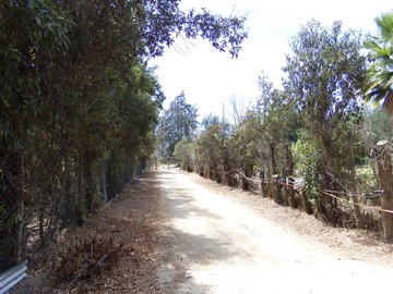 Imagen 16