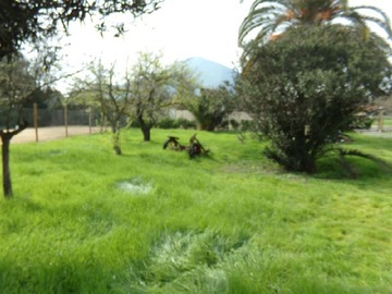 Imagen 9