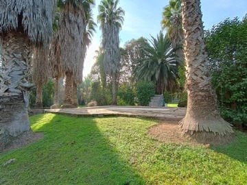 Imagen 11