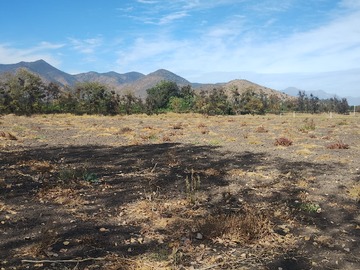 Imagen 7