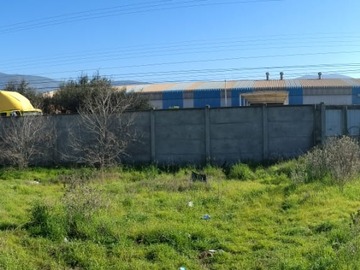 Imagen 11