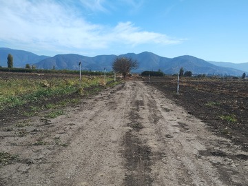 Imagen 5