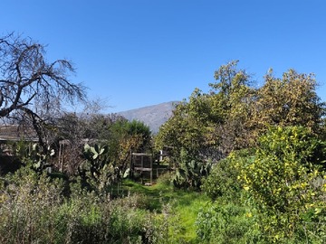 Venta / Parcela / La Calera