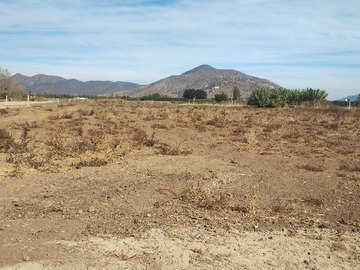 Imagen 11