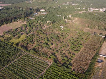 Venta / Parcela / La Cruz