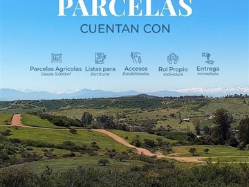 Venta / Parcela / La Estrella