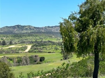 Venta / Parcela / La Estrella