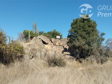 Imagen 15