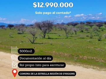 Venta / Parcela / La Estrella