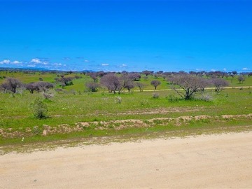 Venta / Parcela / La Estrella