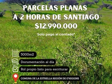 Imagen 16