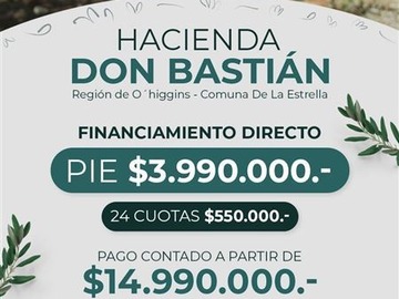Imagen 5