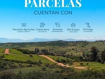 Venta / Parcela / La Estrella