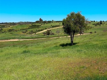 Venta / Parcela / La Estrella