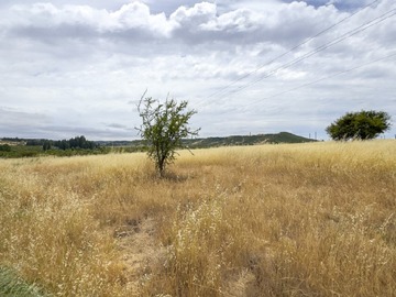 Imagen 18