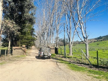 Imagen 12