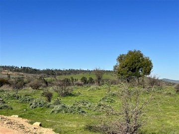 Imagen 9
