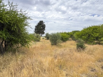 Imagen 16