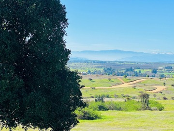 Venta / Parcela / La Estrella