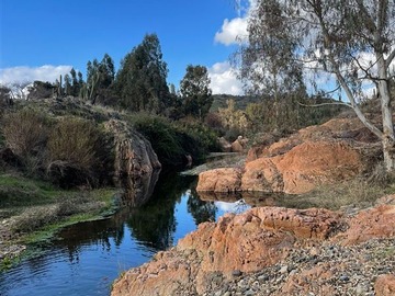 Venta / Parcela / La Estrella