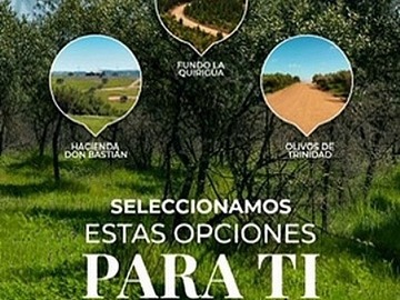 Venta / Parcela / La Estrella