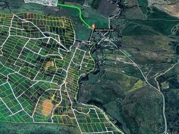 Imagen 20