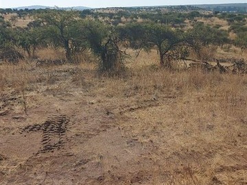 Venta / Parcela / La Estrella