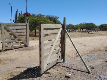 Imagen 7