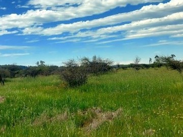 Venta / Parcela / La Estrella