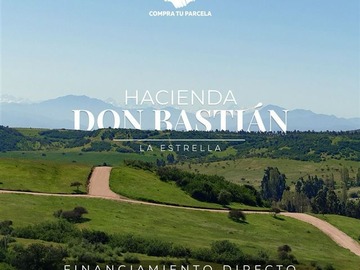 Imagen 19