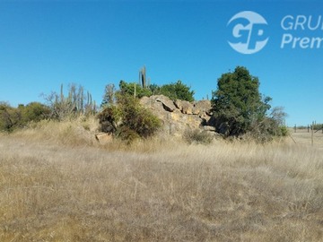 Imagen 13