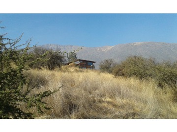 Imagen 4