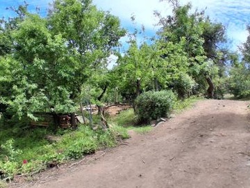 Imagen 6